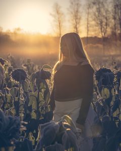 Meerika. Kuva: Tiina Varjakoski