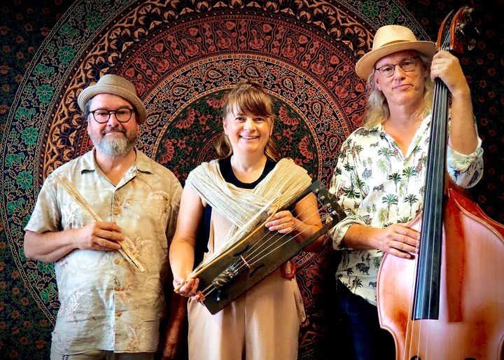 Tytti Metsä ja Hyypiöt (vas. Janne Haavisto, Tytti Metsä, Miikka Paatelainen) todistavat, että monipuolinen jouhikko taipuu jopa blues-soittimeksi.