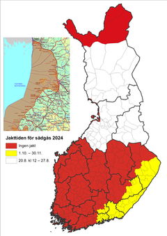 Jakttiden för sädgås 2024