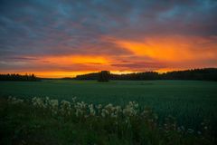 Hausjärvi on Suomen kunta, joka sijaitsee Kanta-Hämeen maakunnassa.