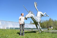 Kolin Veistospuisto on itseoppineen taiteilijan ja puutarhayrittäjän Lasse Martikaisen luomus. Liki hehtaarin puistossa on kymmeniä taideteoksia, jotka ovat saaneet innoituksensa mytologiasta ja Kolin luonnosta.
