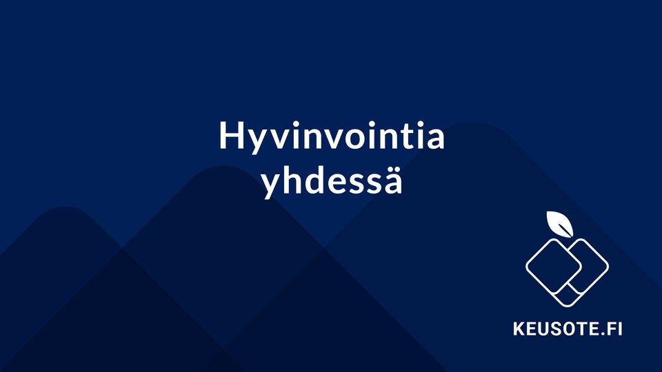 Hyvinvointialueen Investointisuunnitelma Vuosille 2025–28 ...