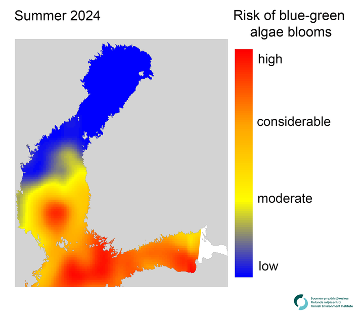 Map showing summer 2024 risk levels of blue-green algae blooms in the Baltic Sea, with risk ranging from low (blue) to high (red). White areas lack data.
