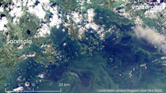 Satelliittikuva, jossa näkyy leväkukintaa Porvoon ja Kotkan välisellä rannikkoalueella 18.6.2024.