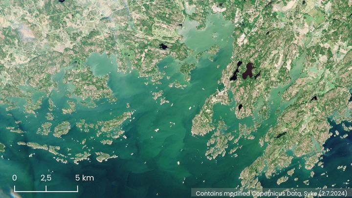 Satellite image showing blue-green algae in the Upinniemi open sea area and coastal region.