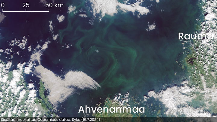 Satelliittikuva Selkämeren eteläosista, jossa näkyy sinilevää. Kuvassa näkyvät myös Rauma ja Ahvenanmaa.