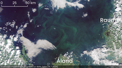 Satellitbild som visar cyanobakterier i södra Bottenhavet den 16 juli 2024. Skala och ortnamn är angivna.