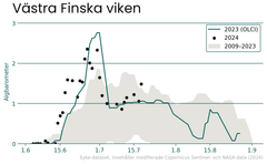 Diagram med titel "Västra Finska viken" som visar medelvärdet av cyanobakterieobservationer från 2009 till 2023 med en kurva för 2023 och markerade punkter för 2024. Y-axeln anger cyanobakterievärden och x-axeln visar tid.