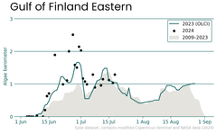 Alt text: "Graph titled 'Gulf of Finland Eastern' showing blue-green algae observations from 2009 to 2023. The y-axis represents the algae barometer with values from 0 (no algae) to 3 (definite algae), and the x-axis lists dates from 15 June to 1 September. The graph includes data points for 2023, 2024, and a shaded region for 2009-2023 averages."
