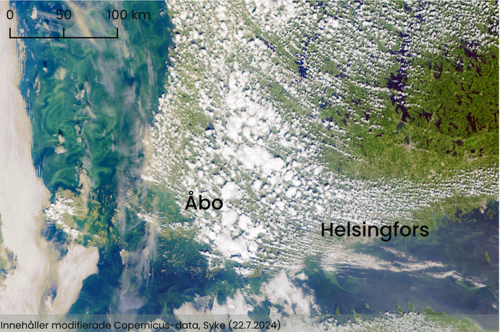 Satellitbild som visar cyanobakterier i havet utanför Åland och i Bottenhavet den 22 juli 2024.