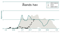 Alt-text: Diagram som visar förekomst av cyanobakterier i Ålands hav från 1 juni till 30 augusti under olika år. Färre blomningar i juni och juli 2024 jämfört med 2023, men nivåerna är lika från mitten av juli och framåt.