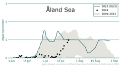 Graph showing the blue-green algae barometer in the Åland Sea. The amount of blue-green algae blooms in 2024 is significantly lower in early summer compared to 2023 and 2009-2023 averages, reaching 2023 levels only after mid-July. The y-axis represents algae presence, ranging from 0 (none) to 3 (definite).