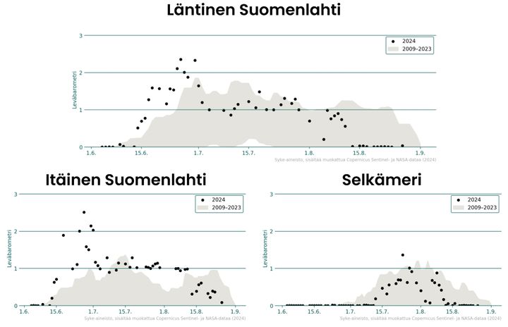 Kolme%20kaaviota%2C%20jotka%20kuvaavat%20sinilev%E4havaintoja%20kes%E4ll%E4%202024%20l%E4ntiselt%E4%20Suomenlahdelta%2C%20it%E4iselt%E4%20Suomenlahdelta%20ja%20Selk%E4merelt%E4.%20Pisteet%20kuvaavat%20vuoden%202024%20yksitt%E4isi%E4%20sinilev%E4havaintoja%2C%20ja%20harmaa%20alue%20n%E4ytt%E4%E4%20vuosien%202009%u20132023%20havaintojen%20vaihteluv%E4lin.