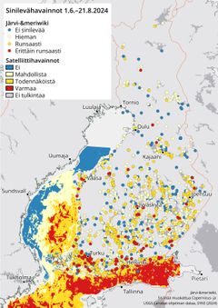 Kartta Suomen sinilevätilanteesta. Kuvassa näkyy sinilevähavaintoja ja merialueiden sinilevätilanne kesä-elokuulta 2024. Karttaa tulkitaan Järvi-meriwikin ja satelliittihavaintojen perusteella. Sinilevähavainnot esitetty värikoodein: ei levää, mahdollisesti, todennäköistä, varmaa ja ei tulkintaa. Kartasta näkyy sinilevän esiintyminen paikallisesti ja avomerellä.