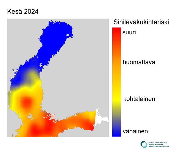 Alt-teksti%3A%20Kartta%2C%20jossa%20esitet%E4%E4n%20Suomen%20avomerialueiden%20sinilev%E4kukintojen%20riskiarvio%20kes%E4kuussa%202024.%20Riski%20on%20suurin%20Suomenlahden%20etel%E4-%20ja%20keskiosissa%20sek%E4%20Saaristomeren%20etel%E4osissa%20%28punaisella%29.%20Kohtalainen%20riski%20Pohjanlahden%20etel%E4osassa%20%28keltainen%29.%20V%E4h%E4inen%20riski%20It%E4meren%20p%E4%E4altaan%20pohjoisosassa%20%28sininen%29.%20%u05D4%u05D0Kev%E4isen%20ravinnetietojen%20puutteen%20takia%20valkoinen%20alue%20kartan%20keskiosassa%20on%20j%E4tetty%20arvioimatta.