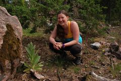 “The importance of an area from a biodiversity perspective varies significantly between locations. This is one of the main results in my PhD thesis,” shares Ninni Mikkonen.