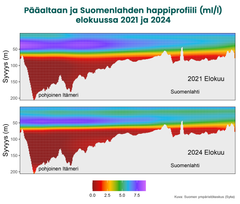 Kuva 2. Itämeren pääaltaan ja Suomenlahden happiprofiili (ml/l) elokuussa 2021 ja 2024.