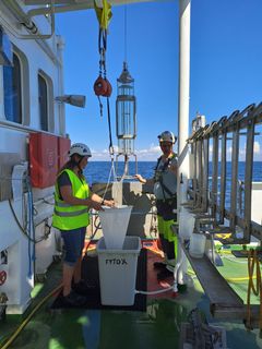 Maiju Lehtiniemi and Meelis Mõik taking samples onboard R/V Aranda in August 2024. ©Finnish Environment Institute. The publication is allowed in news related to the Finnish Environment Institute and the monitoring of the Baltic Sea.