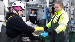 Finnish Environment Institute’s researchers taking samples onboard R/V Aranda in August 2024. © Maiju Lehtiniemi, Finnish Environment Institute. The publication is allowed in news related to the Finnish Environment Institute and the monitoring of the Baltic Sea.