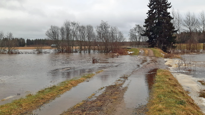 Teuvanjoki Puskamarkin havaintoaseman kohdalla 26.11.2024. Kuva: Eva-Stina Bredgård (Etelä-Pohjanmaan-ELY-keskus)