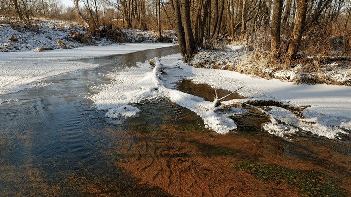 Keväinen joki virtaa metsän keskellä iltapäivän auringossa. Kuva: Adobe Stock