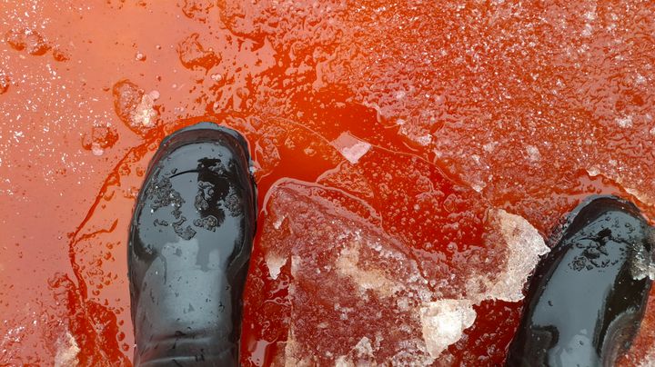 Mustat kumisaappaiden kärjet verenpunaisella jäällä.