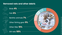 Ghost nets bring up other debris as well. Of all items collected during the cleanups, 58% were fishing nets, 16% plastics and other litter, 9% other fishing-related waste, 7% benthic animals, 6% fish, and 4% bird bones.