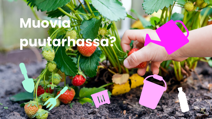 Käsi poimii mansikoita puutarhassa. Kuvassa on myös kastelukannu, ämpäri ja lapio. Teksti: "Muovia puutarhassa?"