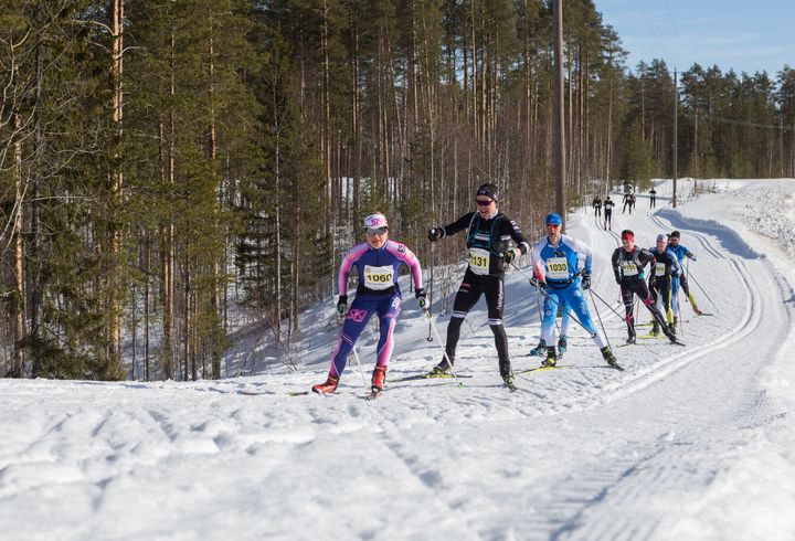 Vuoden 2026 Pogostan Hiihdon ajankohta on 14. maaliskuuta. Kuva: Tuomo Turunen