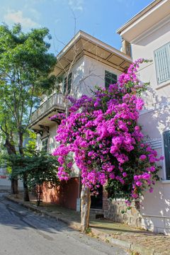 İstanbul Büyükada