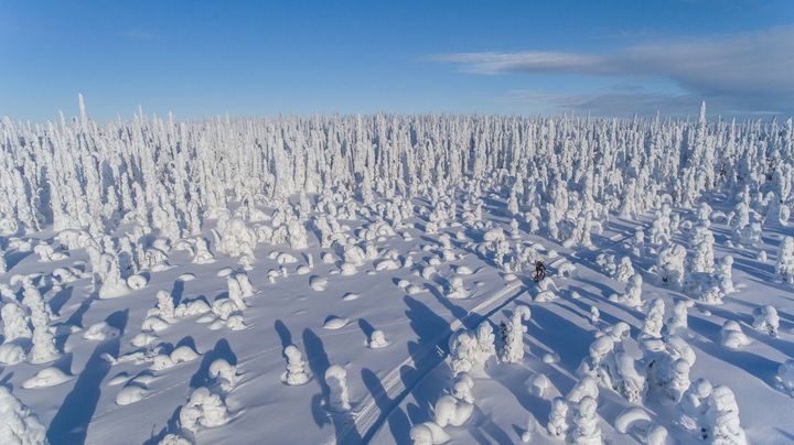 Matkailualalla on paljon hyödyntämätöntä innovaatiopotentiaalia.