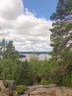 Näköala korkealta mäntymetsäiseltä kallioilta järvelle pilvisellä säällä.