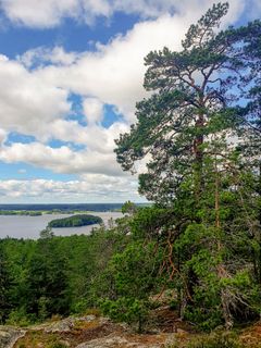 Näkymä metsästä järvelle, jossa näkyy sineä taivasta ja pilviä yläpuolella.