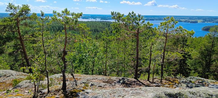 Näkymä Pirunvuorelta: metsäinen maisema, järvinäkymä taustalla.