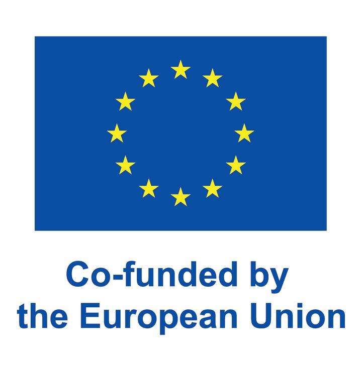 Euroopan%20unionin%20lippu%20ja%20teksti%20%22Co-funded%20by%20the%20European%20Union%22.