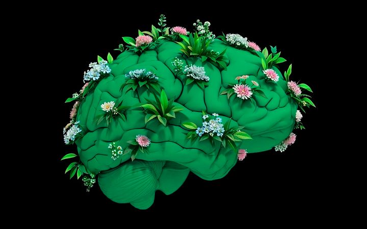 Vihreä aivomuoto, jonka pinnalla kasvaa erilaisia kukkia ja kasveja mustaa taustaa vasten.