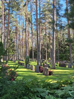 Gravstenar i rad i gröngräset och raka tallstammar som sträcker sig upp mot den blå himlen.