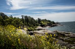 Vallisaari island. Photo: HAM / Helsinki Biennial / Matti Pyykkö.