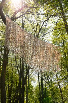 Tania Candiani: Sjungande frön, 2025, detalj. Helsingforsbiennalen 8.6–21.9.2025, Skanslandet. Foto: HAM / Helsingforsbiennalen / Maija Toivanen.