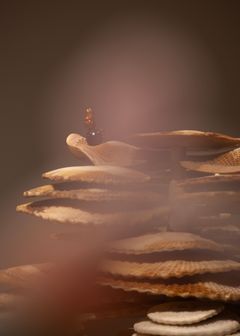 Marguerite Humeau: The Holder of Wasp Venom, 2023. Marguerite Humeau: ‘meys’, White Cube Bermondsey, 5.4.–14.5.2023. © Marguerite Humeau. Kuva: © White Cube (Julia Andréone).