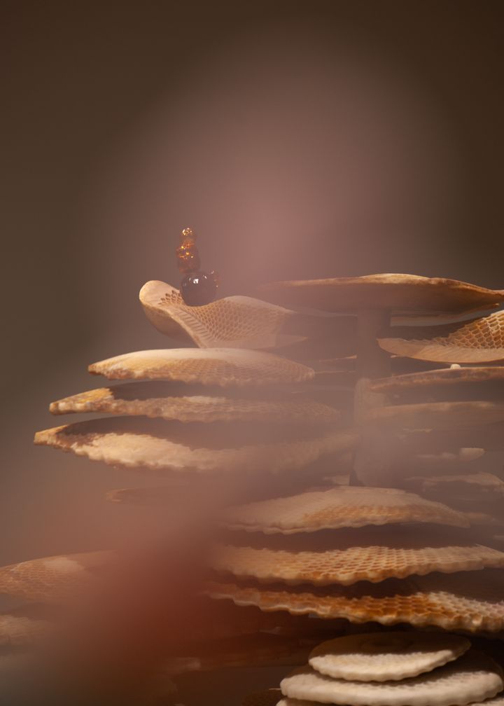 Marguerite Humeau: The Holder of Wasp Venom, 2023. © Marguerite Humeau. Kuva © White Cube (Julia Andréone).