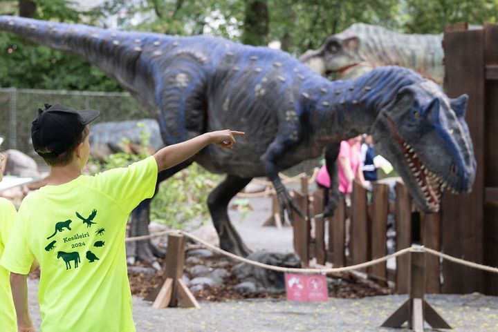 Lapsi osoittaa Korkeasaaren eläintarhan dinosaurusnäyttelyn suurta dinosaurusta.