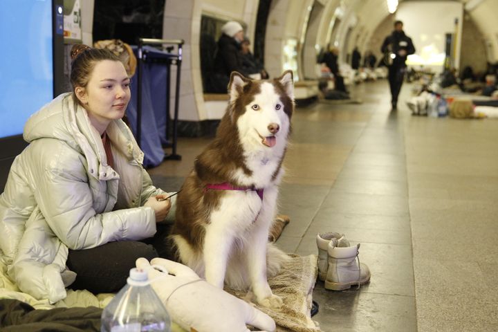Kiovalainen nainen istuu koiransa kanssa metroasemalla muiden suojaan hakeutuneiden ihmisten kanssa.