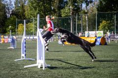 Bordercollie hyppäämässä esteen ylitse agilityradalla.