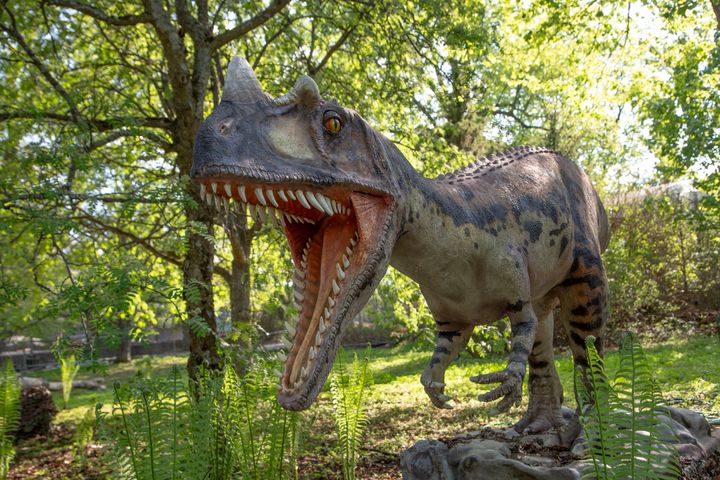 Ceratosaurus karjahtelee saniaisten keskellä Korkeasaaressa.