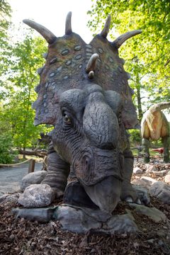 Pachyrhinosaurus. Kuva: Mari Lehmonen / Korkeasaaren eläintarha