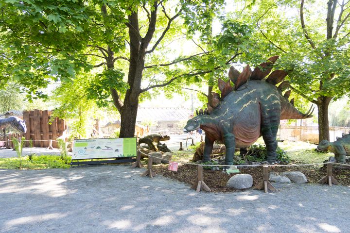 Korkeasaaren dinosaurusnäyttely avautuu lauantaina.