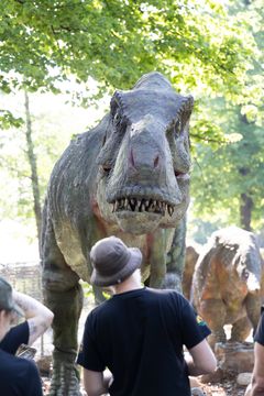 Tyrannosaurus katselee ensimmäisiä vierailijoita. Kuva: Annika Sorjonen / Korkeasaaren eläintarha