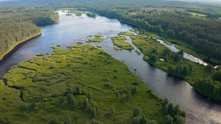 Pohjois-Pohjanmaalla sijaitseva Iijoki virtaa 370 kilometrin matkan poikki pohjoisen Suomen, Kuusamon Iijärvestä aina Iin taajaman kohdalla Perämereen.