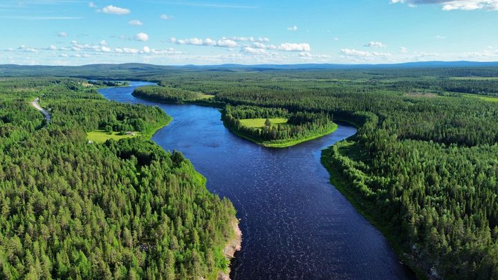 Ylhäältä päin otettu kesäinen maisemakuva sinisestä joesta, jota ympäröivät vihreät metsät.